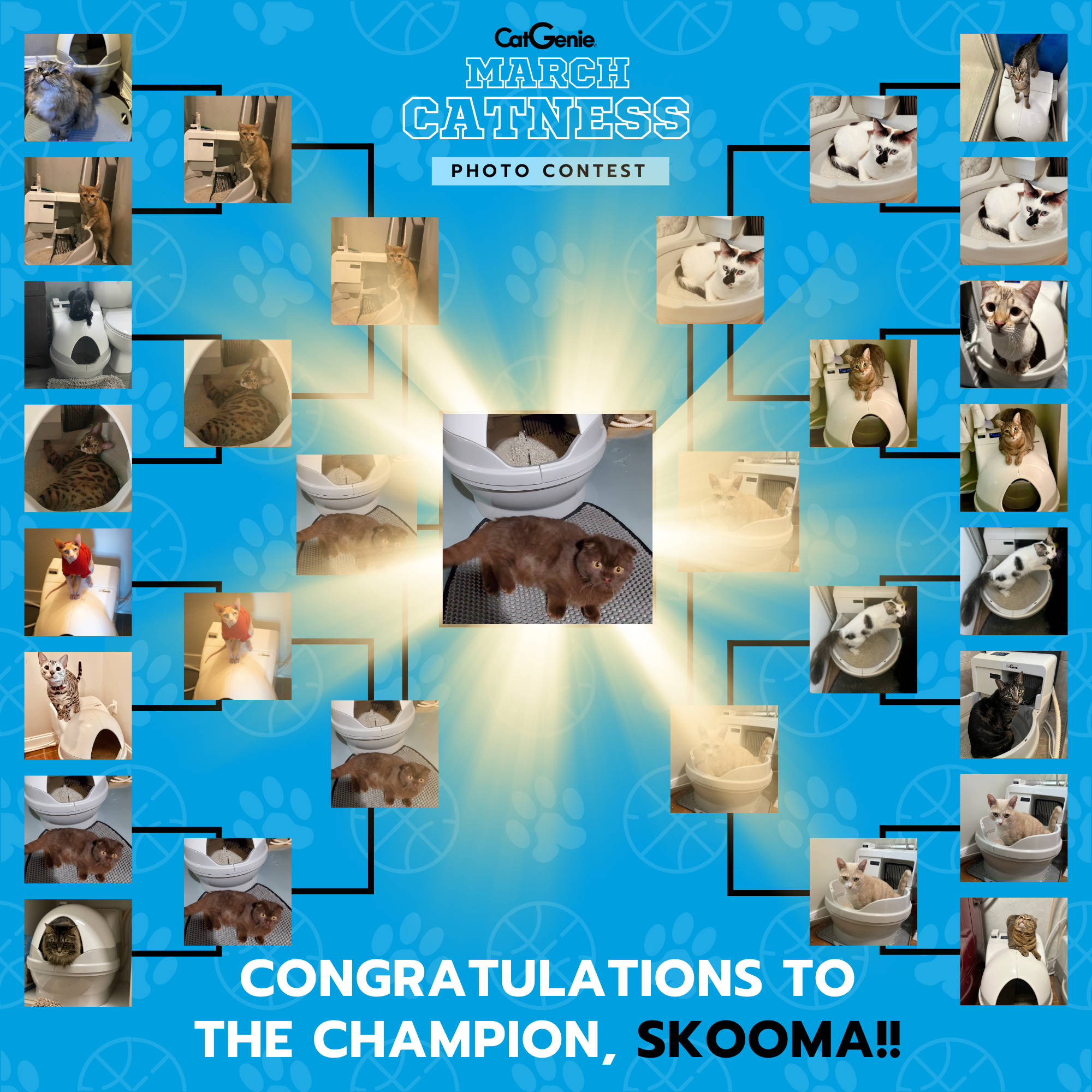 The official March Catness Photo Contest 2024 Bracket