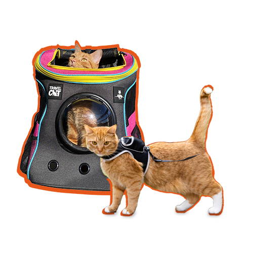 Stray x Travel Cat Backpack & Harness Collection Travel Cat Your