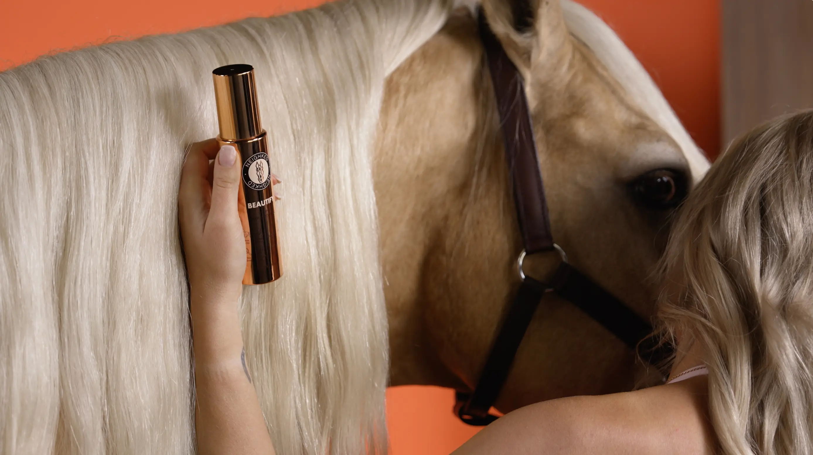 BEAUTIFY near a horse's head against an orange background.