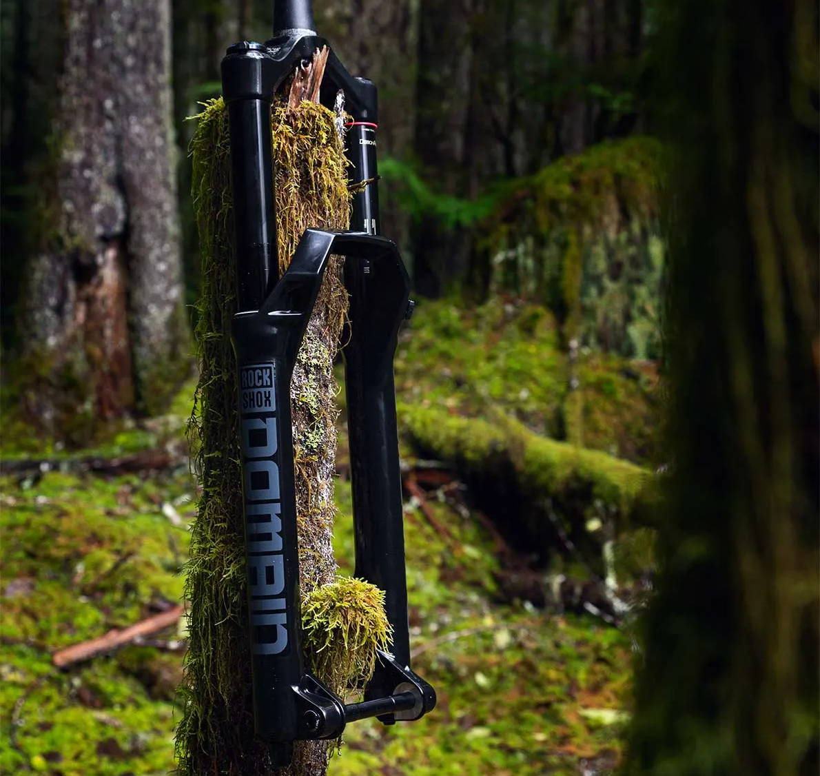 rockshox domain mountain bike fork handing on a mossy tree