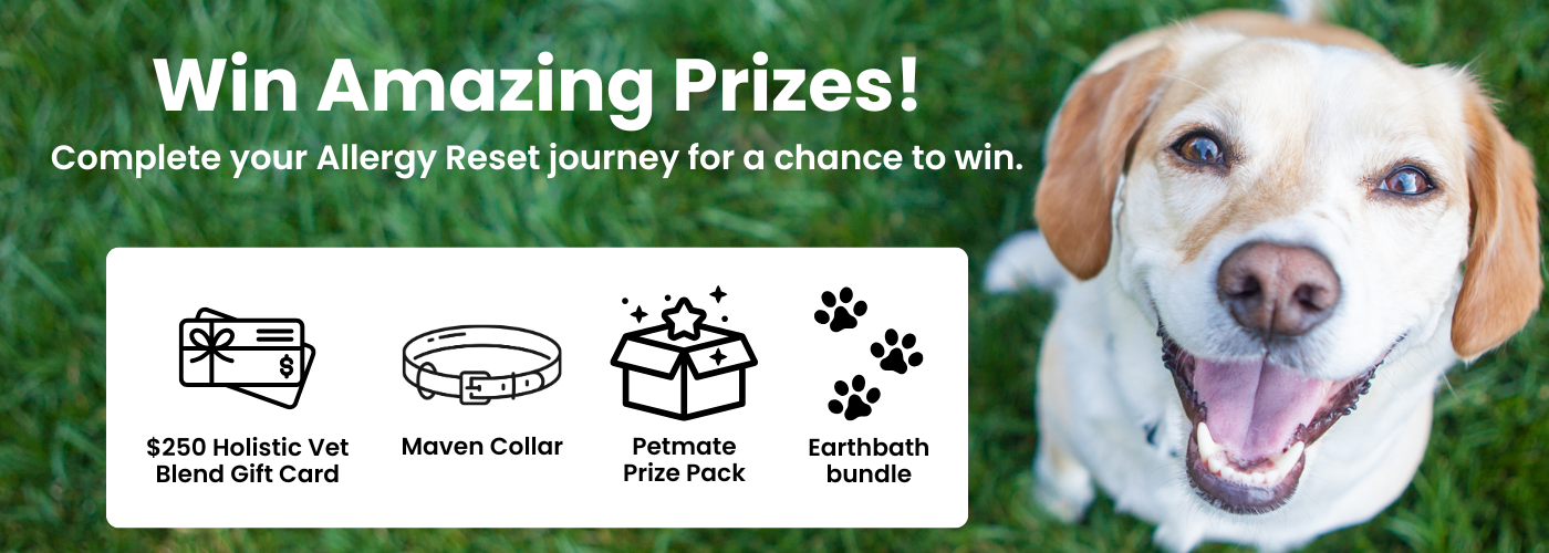 Allergy Reset giveaway banner featuring a happy dog and four prizes.
