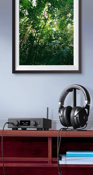 Headphones and audio equipment next to a framed picture of greenery.