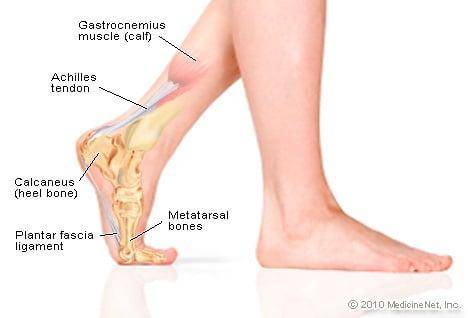 image of where turf toe can occur