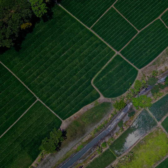 Drone Agriculture