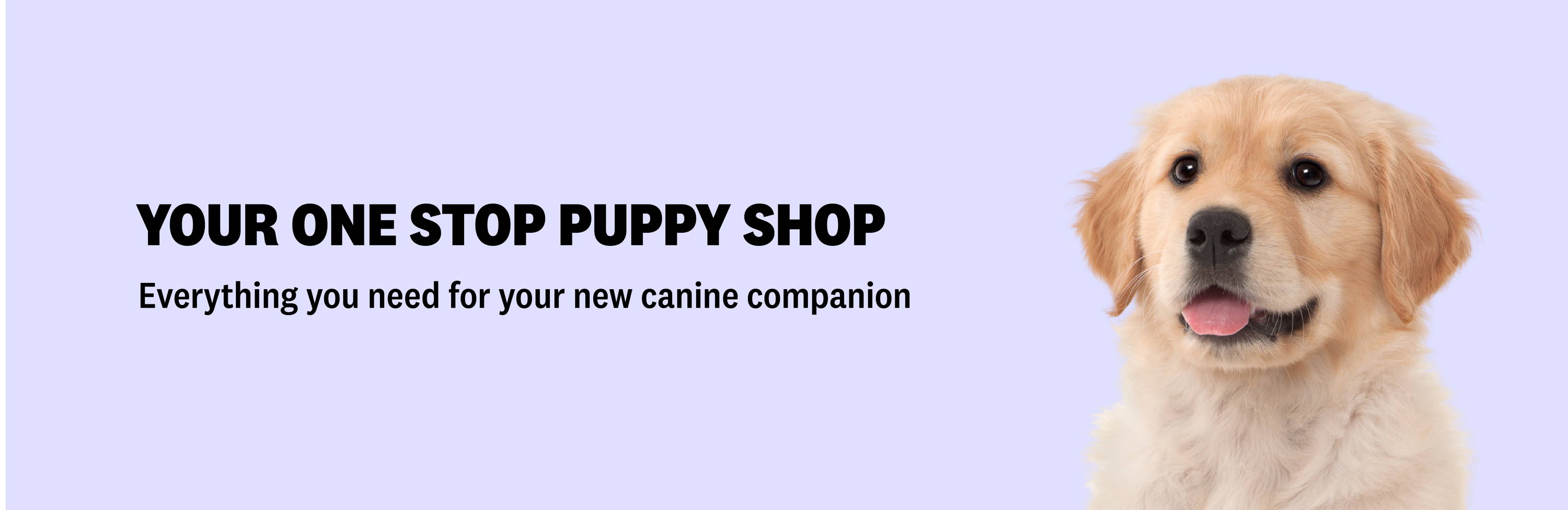 Your One Stop Puppy Shop