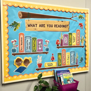 Colorful bulletin board with books and the question, 