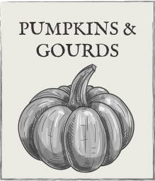 Jump down to Pumpkins and gourds growing guide