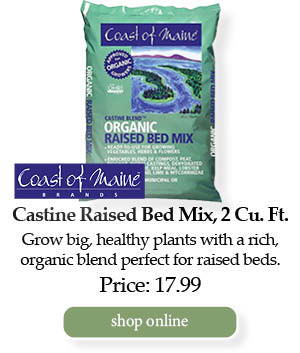 Coast of Maine Castine Raised Bed Mix, 2-cubic foot bag - Grow big, healthy plants with a rich, organic blend perfect for raised beds. | Price: $17.99 | Shop Online