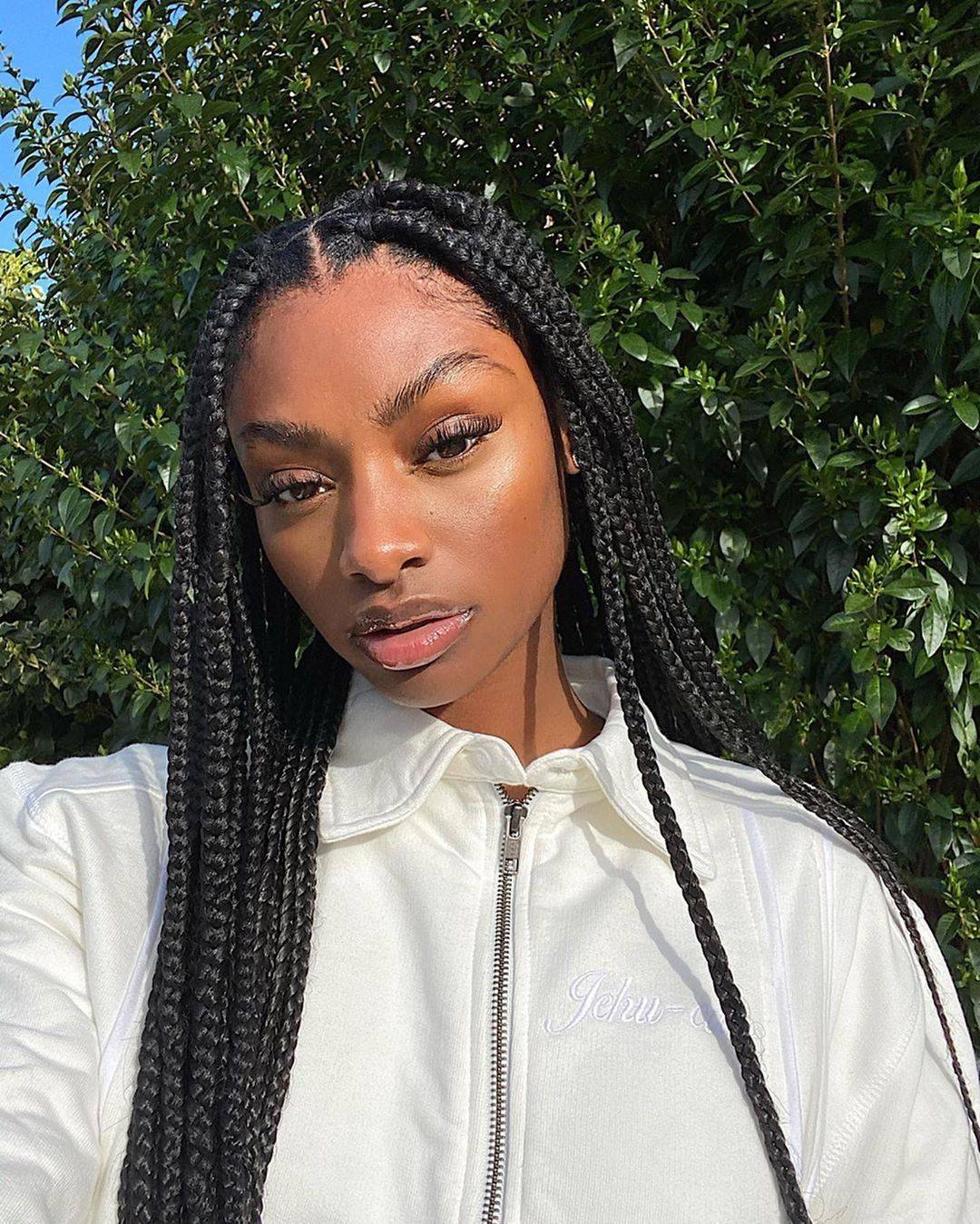10 Stand-Out Ways to Part Your Box Braids  Box braids hairstyles for black  women, Brown box braids, Cornrows braids for black women