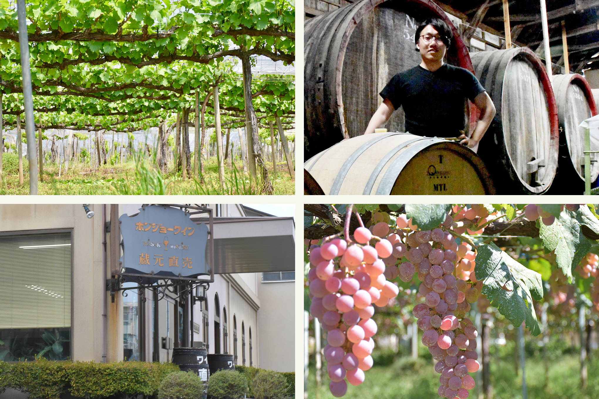 日本ワイン界のホープ・白石壮真さんが活躍しているのは、山梨県の歴史と伝統あるワイナリー、『岩崎醸造』。