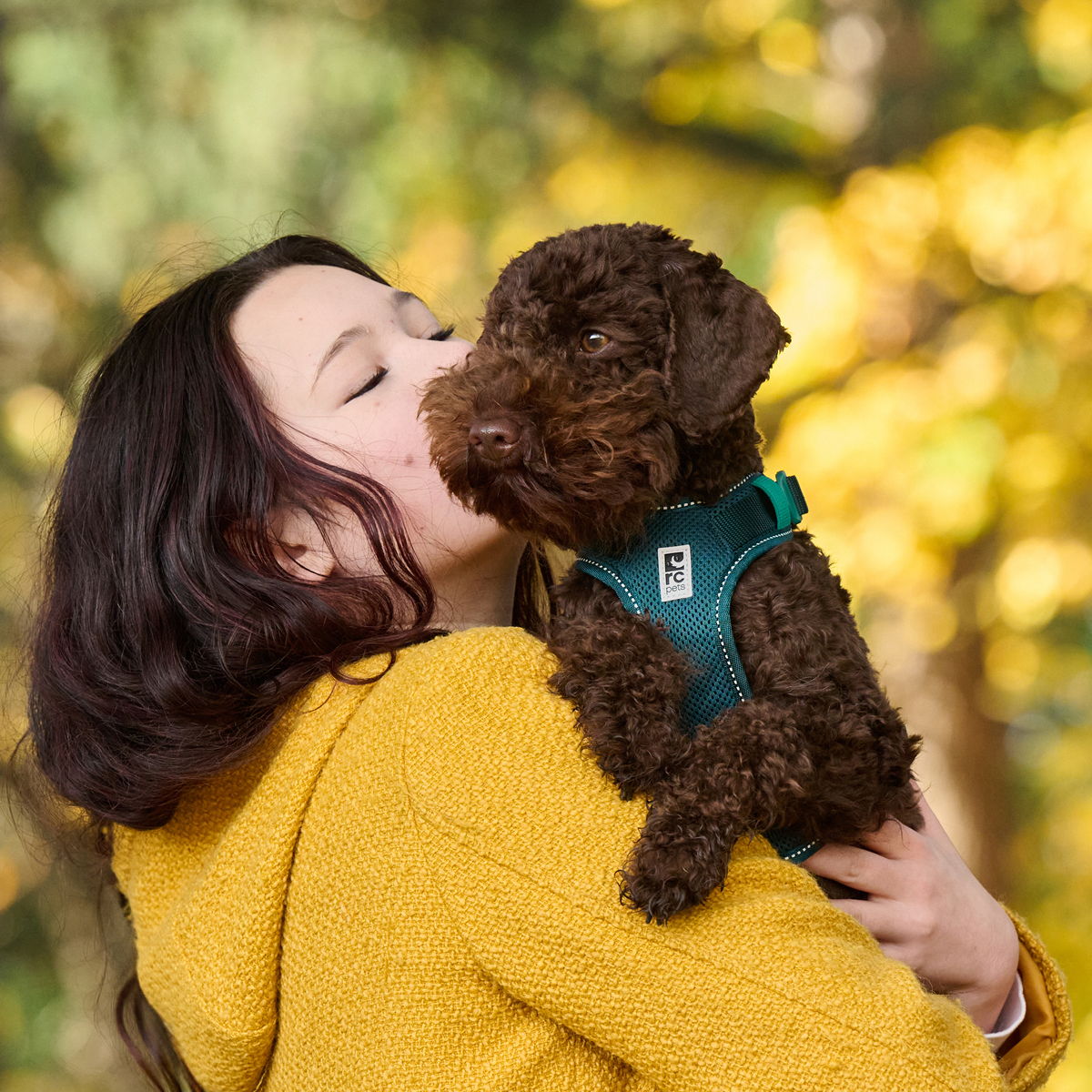 Person in yellow sweater kisses a brown dog outdoors.