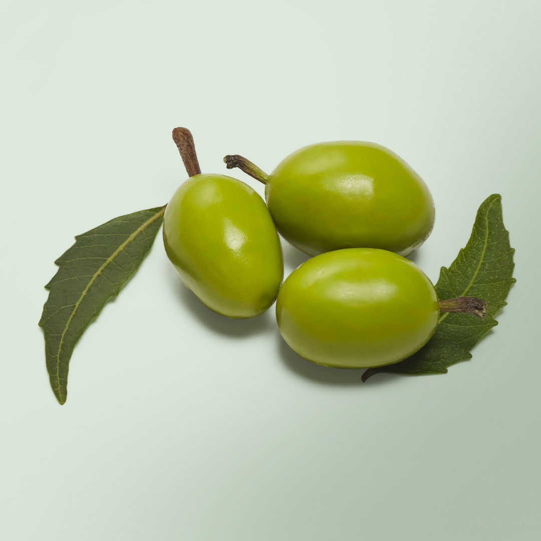 Fruits