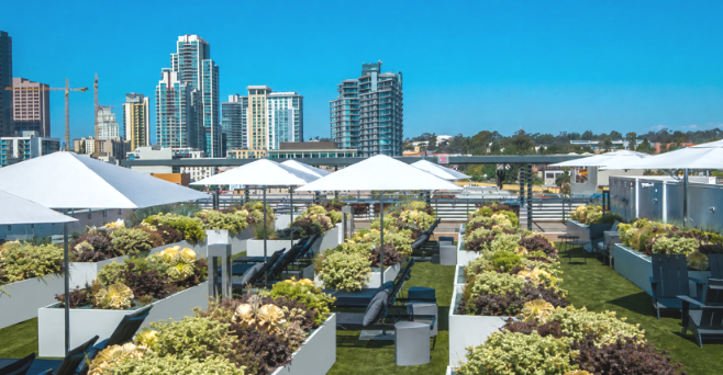 City rooftop garden with greenery and umbrellas, skyline in the background.