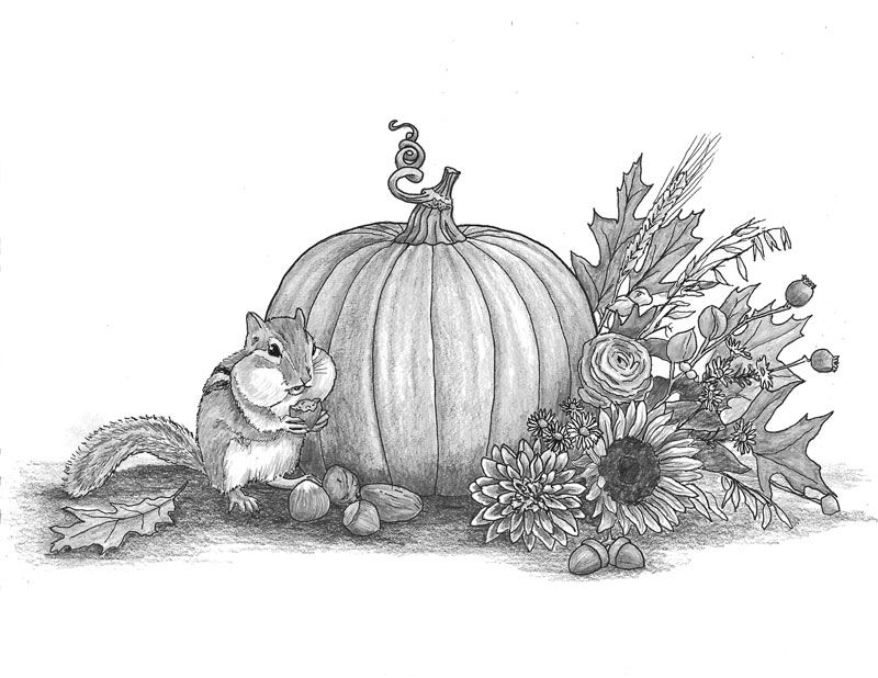 A squirrel beside a pumpkin and autumn flowers in a sketch.