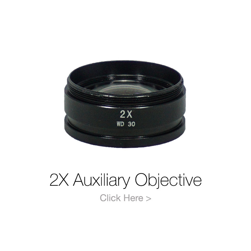 2x-auxiliary-objective