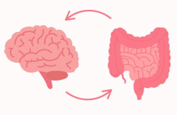 Illustration of brain and gut with arrows indicating connection.