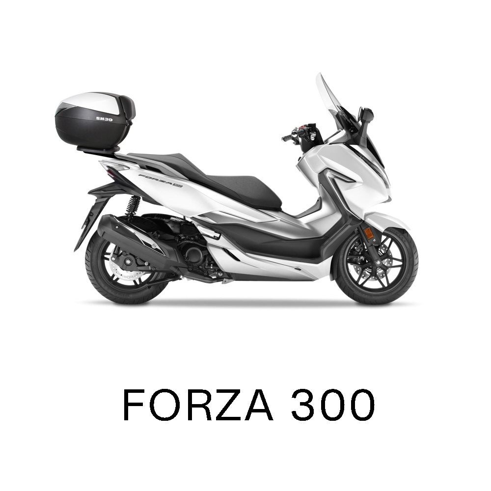 Forza 300