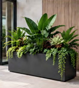 Rectangle Planter with plants in an office setting