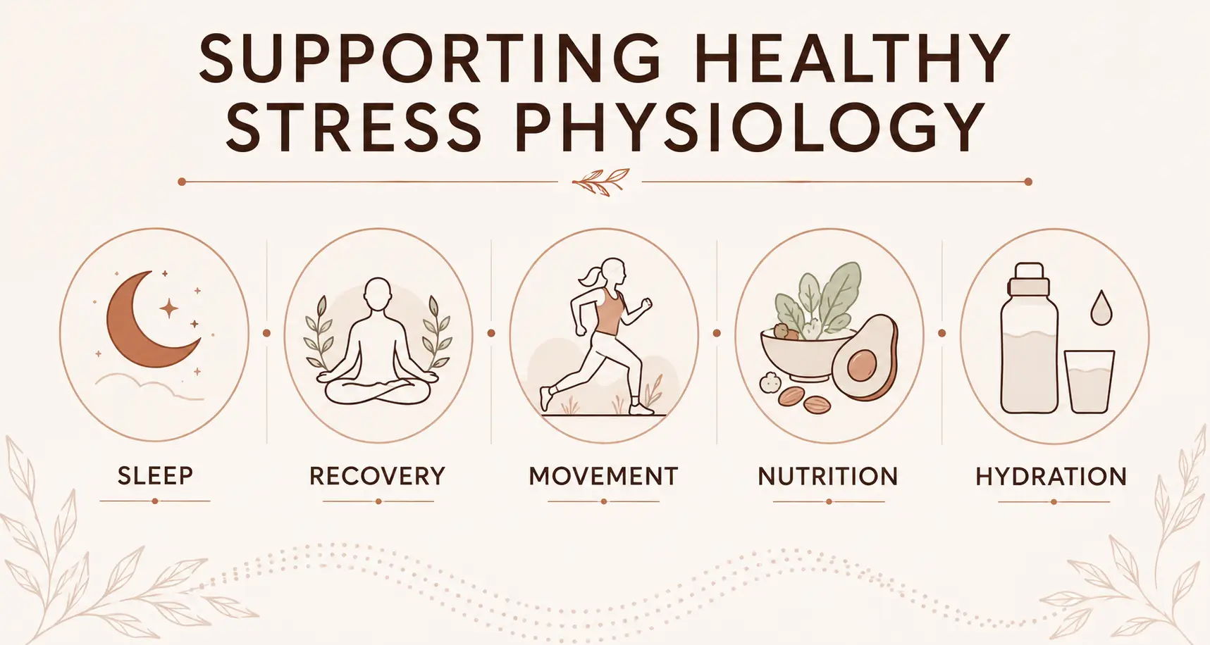 Supporting healthy stress physiology: sleep, recovery, movement, nutrition, hydration.