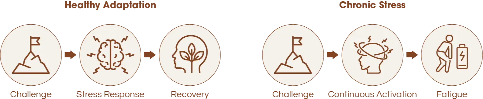 Icons representing a process: concept, development, learning, strategy, and change.