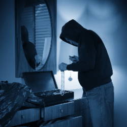 Mejor seguridad: ladrón en su hogar