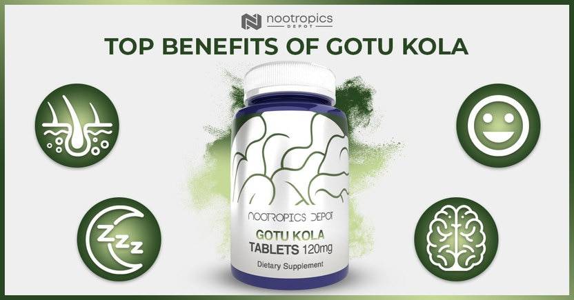 The Top Benefits of Gotu Kola Extract
