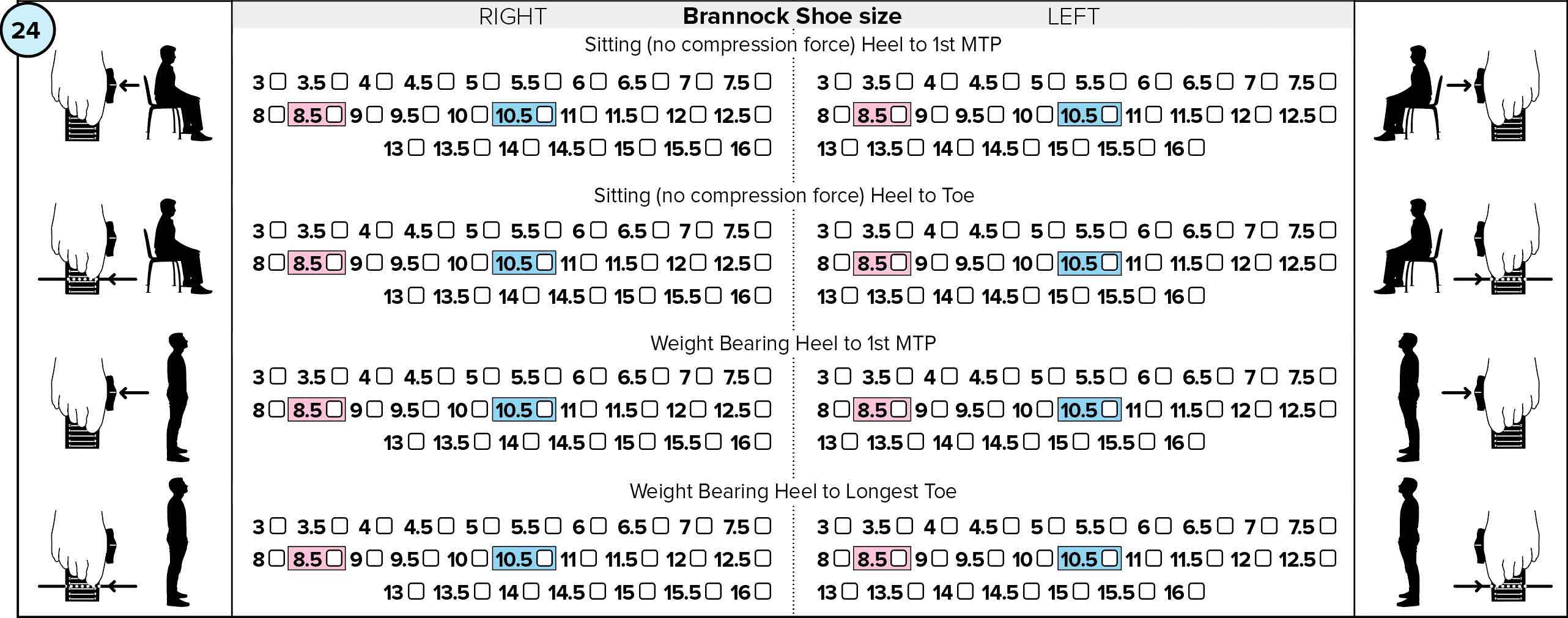 Brannock Shoe size