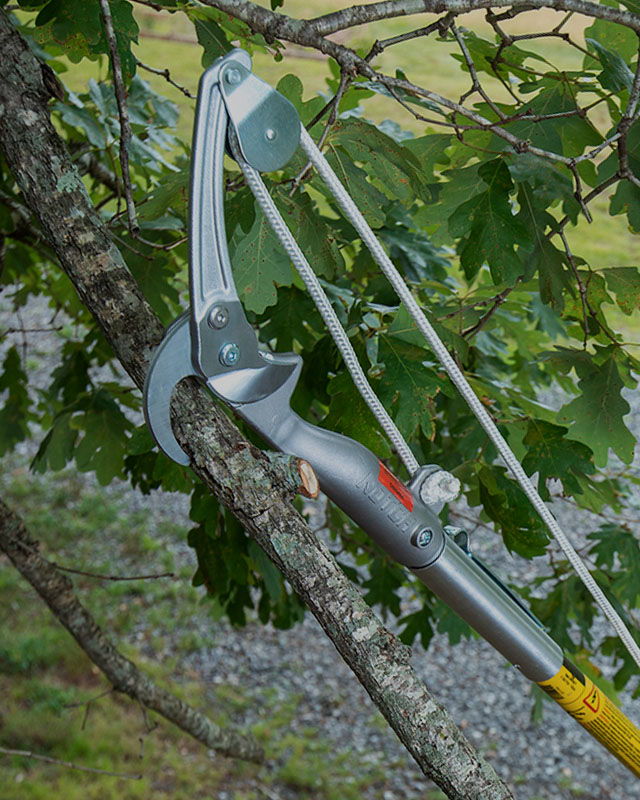 PHX Pruner Head