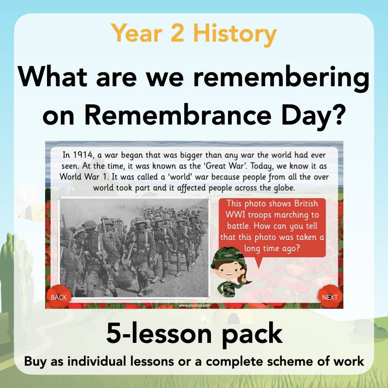 Year 2 Curriculum - What are we remembering on Remebrance Day?