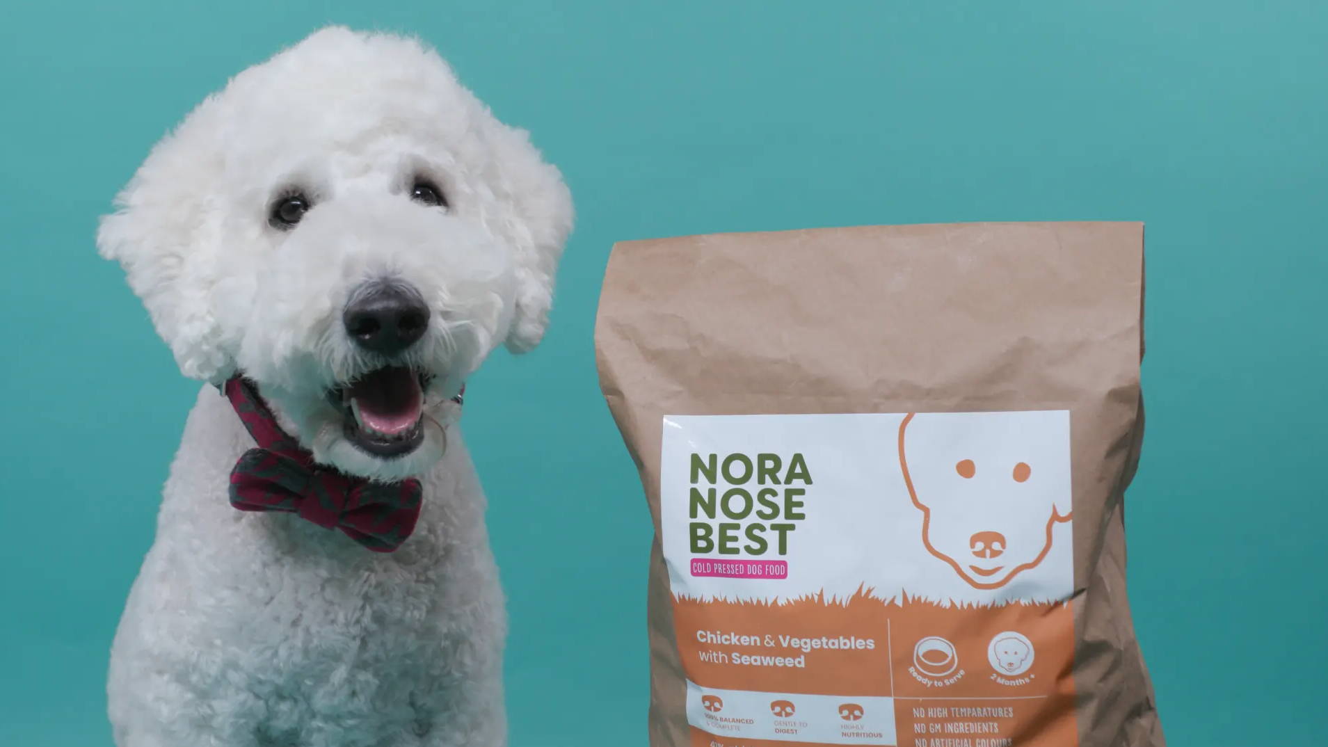 cold pressed dog food 15kg