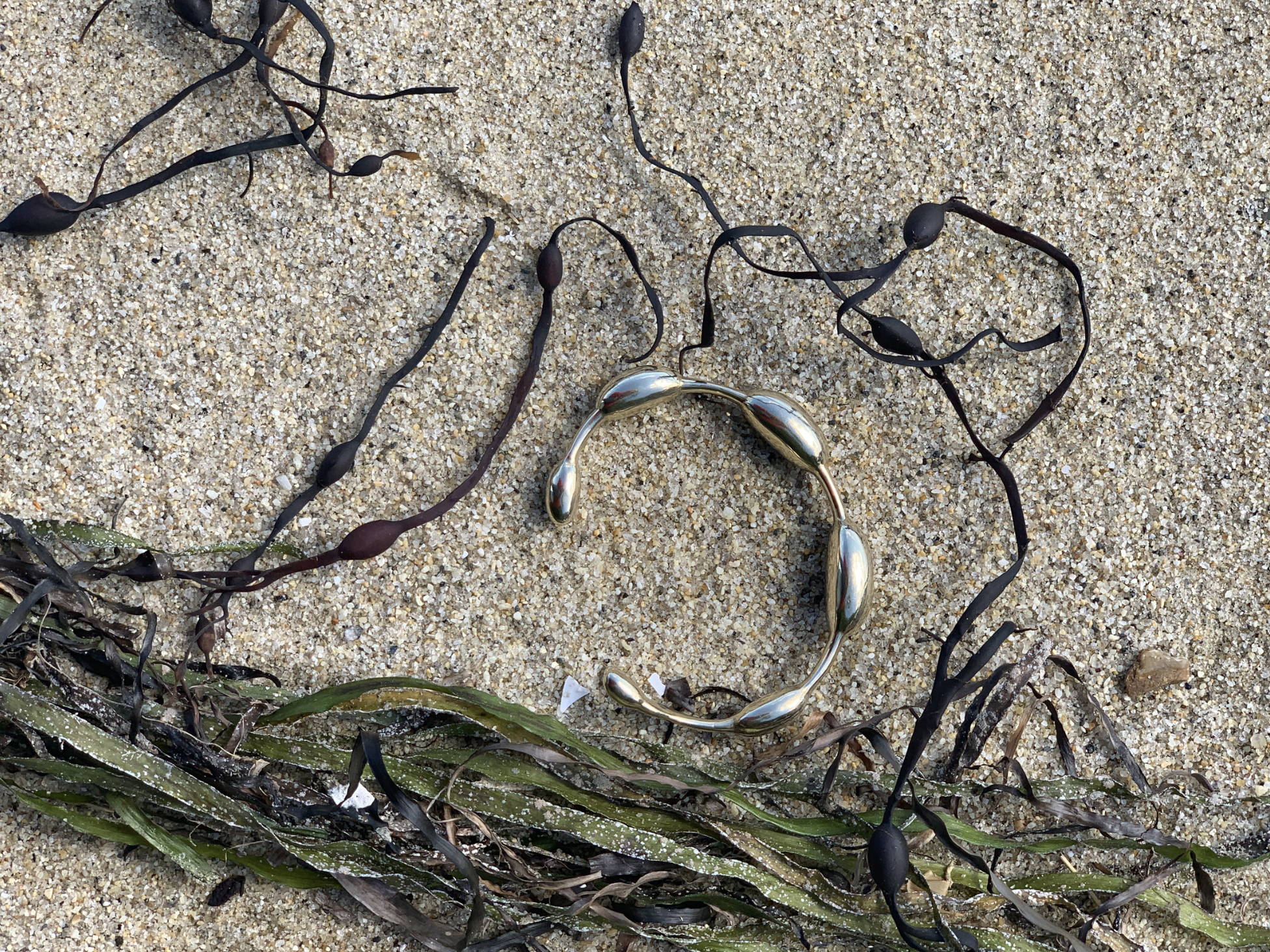 seaweed bracelet on the beach