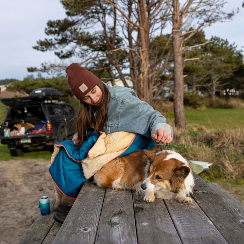 Person petting a dog on a wooden table in a natural setting.