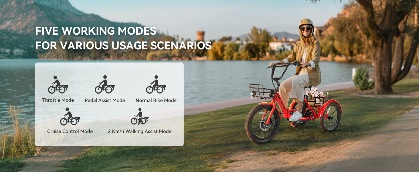 AMAK00046 Five Working Modes