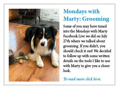 Monday's with Marty: Grooming Blog