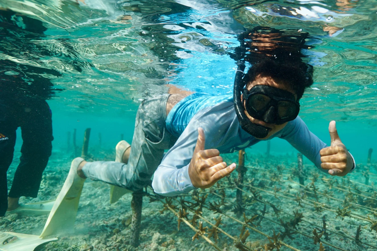 A person snorkeling underwater, giving a thumbs up in clear water.