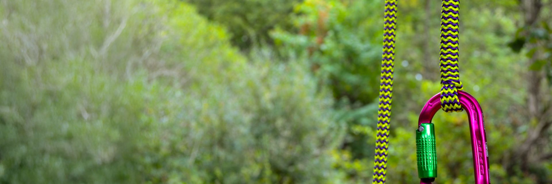 A colorful carabiner hanging against a lush green background.