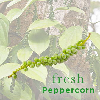 High Quality Organics Express Fresh Peppercorn