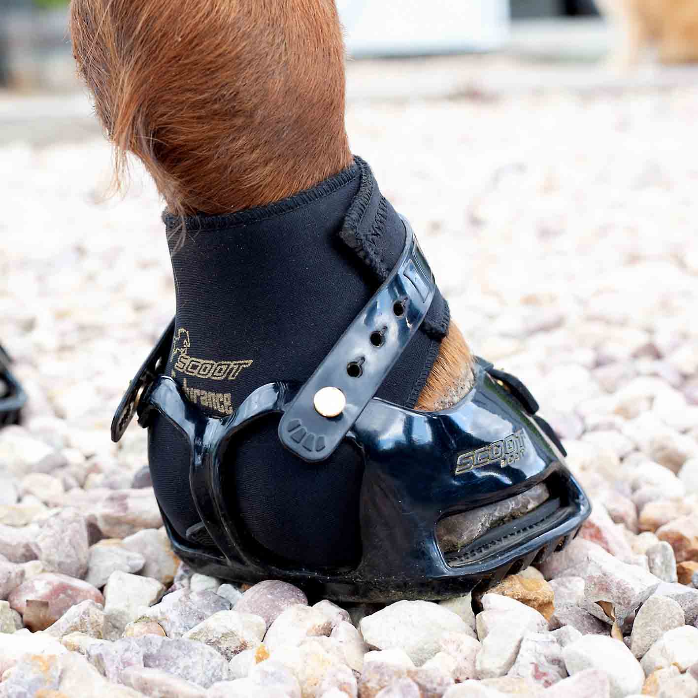  Scootboots hoof boots for barefoot horses Scoot classic with mud straps for horse riding