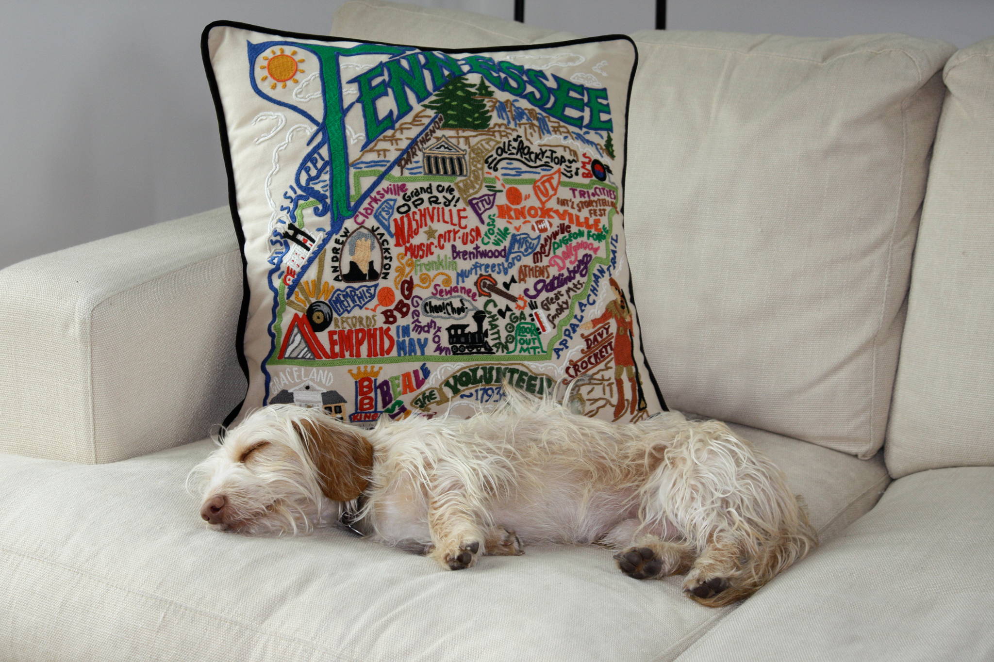 Tennessee embroidered throw pillow on white sofa with dog