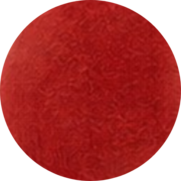 Red circular shape with a textured surface.