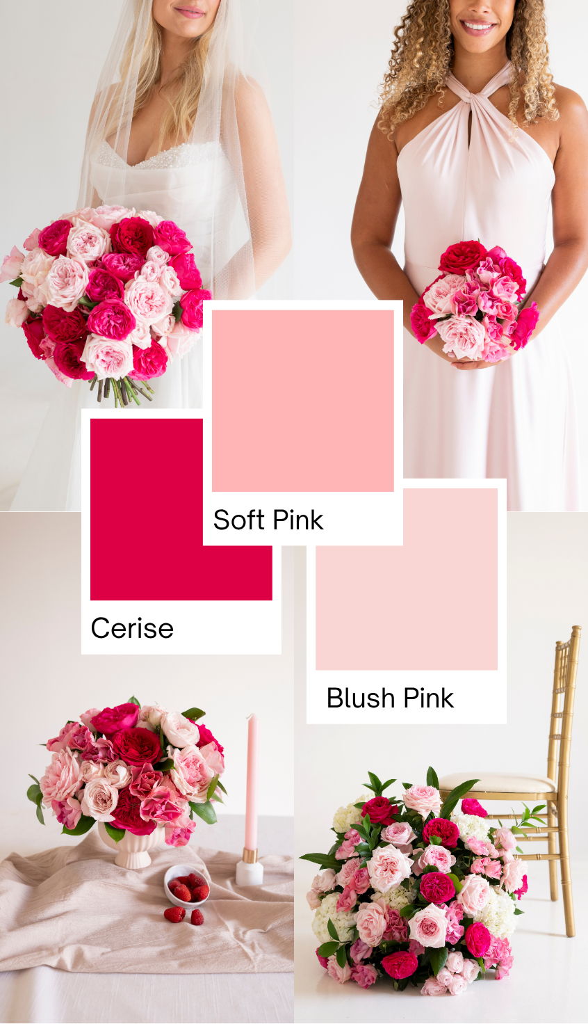 deep pink garden rose mini board
