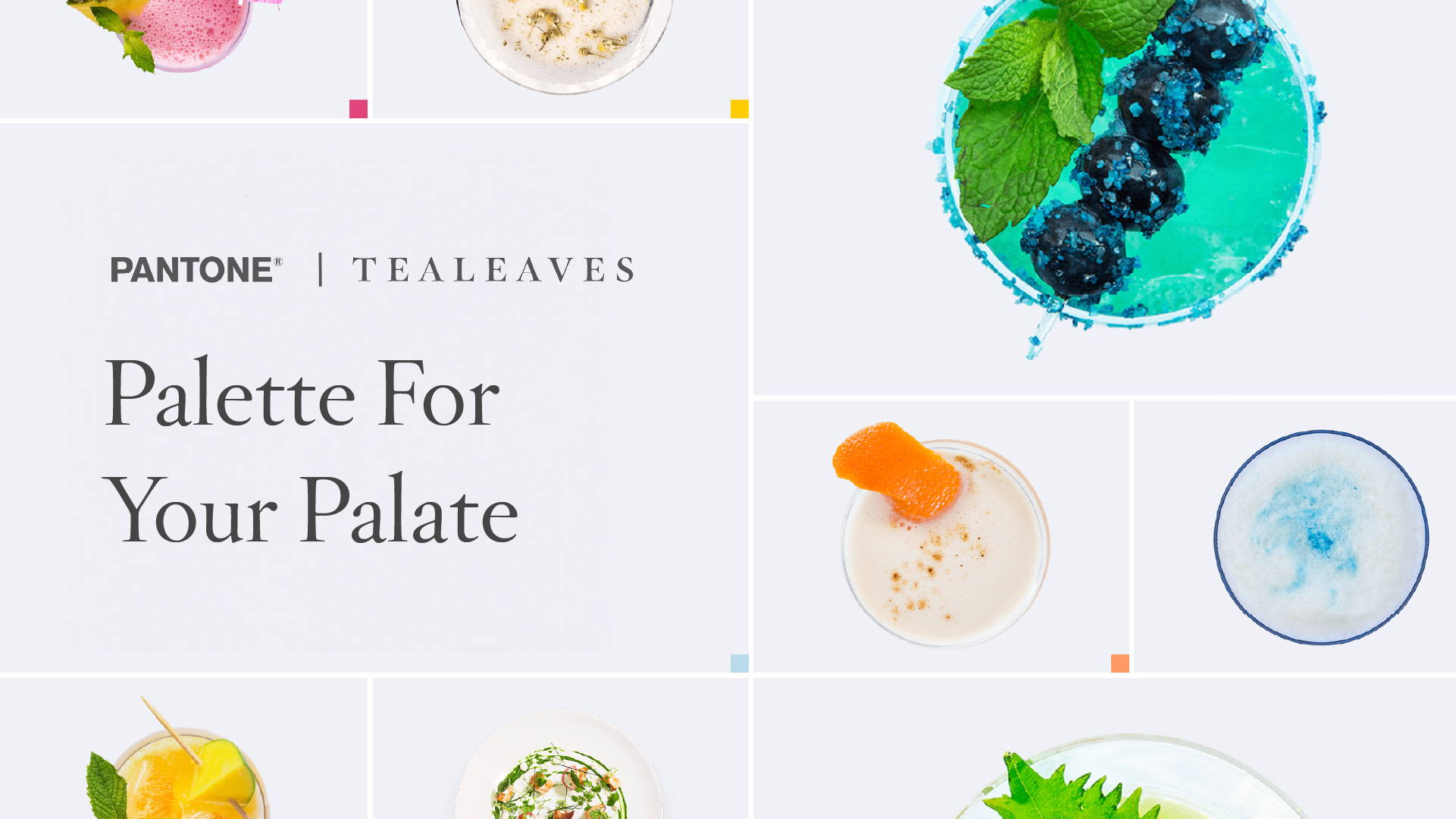 Palette For Your Palate