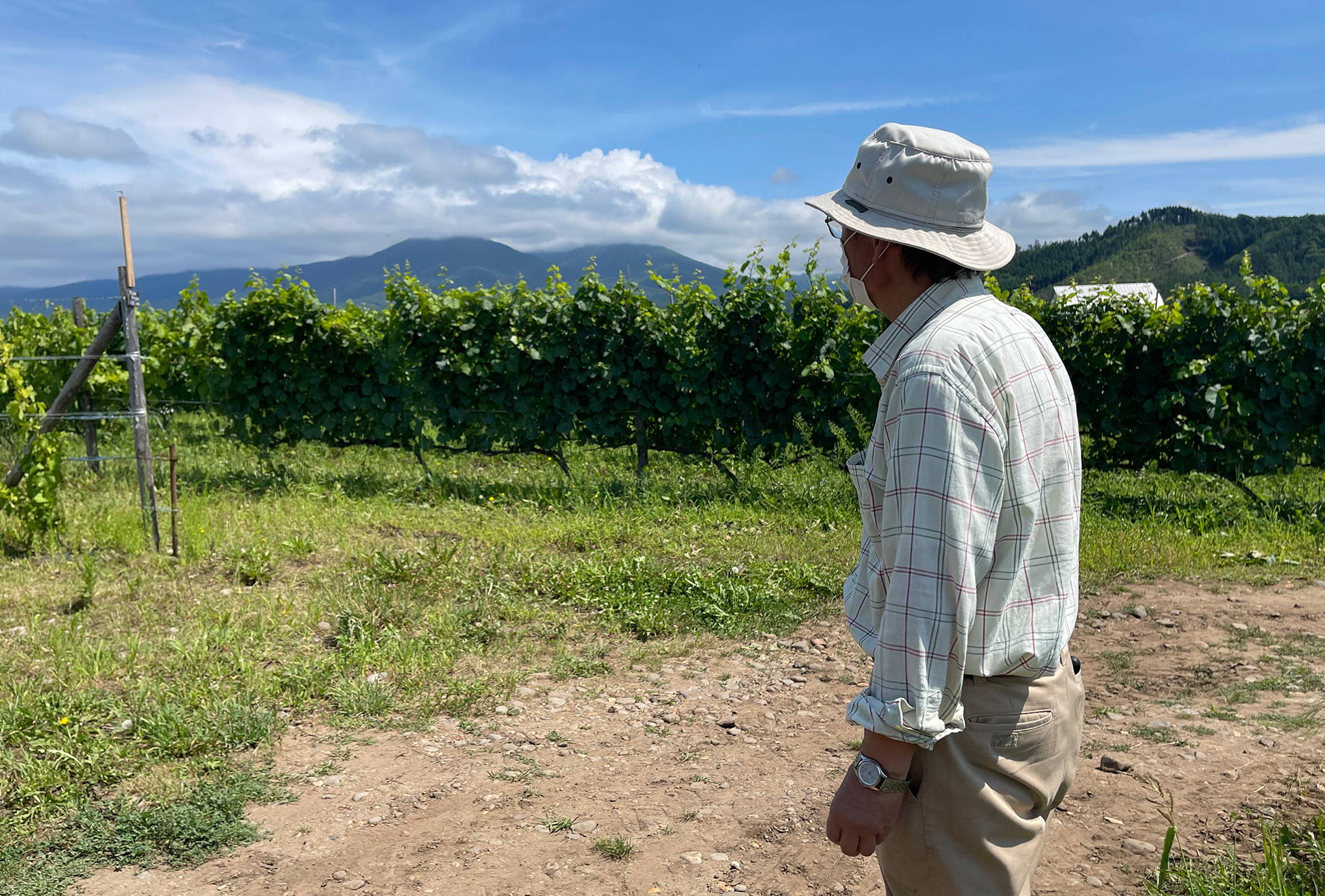 120年の歴史を誇る農園が、北海道・富良野の地でワインを造り始めるまで。