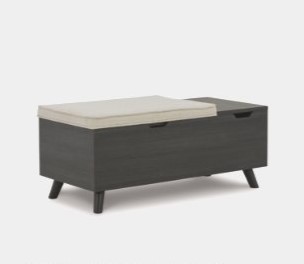 Storage Benches
