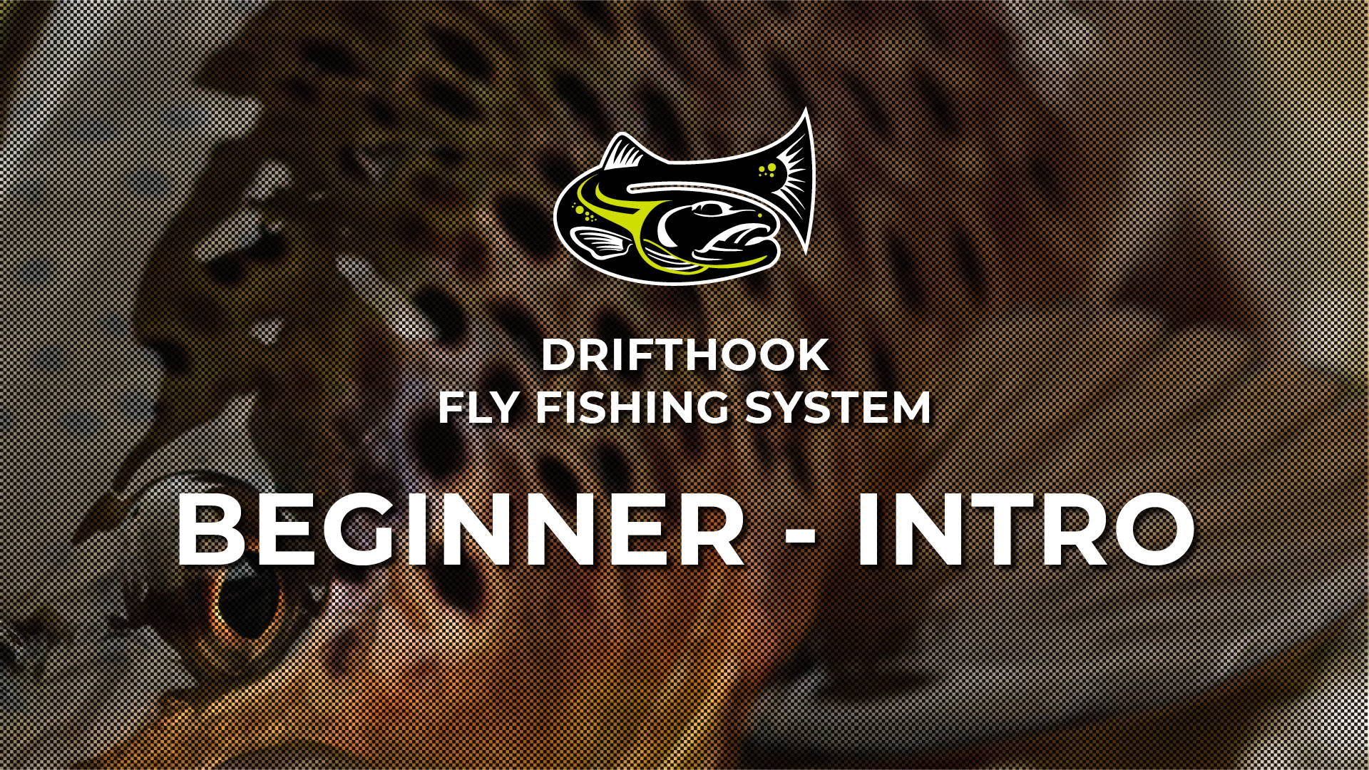 Fly Fishing for Beginners - 17 Videos to Get You Started