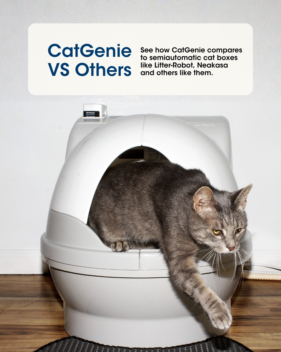 CatGenie VS Others. See how CatGenie compares to semiautomatic boxes like Litter-Robot, Neakasa and others like them.