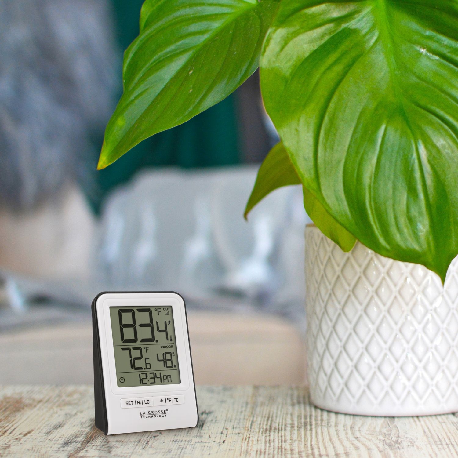 308-1409WT digital thermometer beside a green plant in a white pot.
