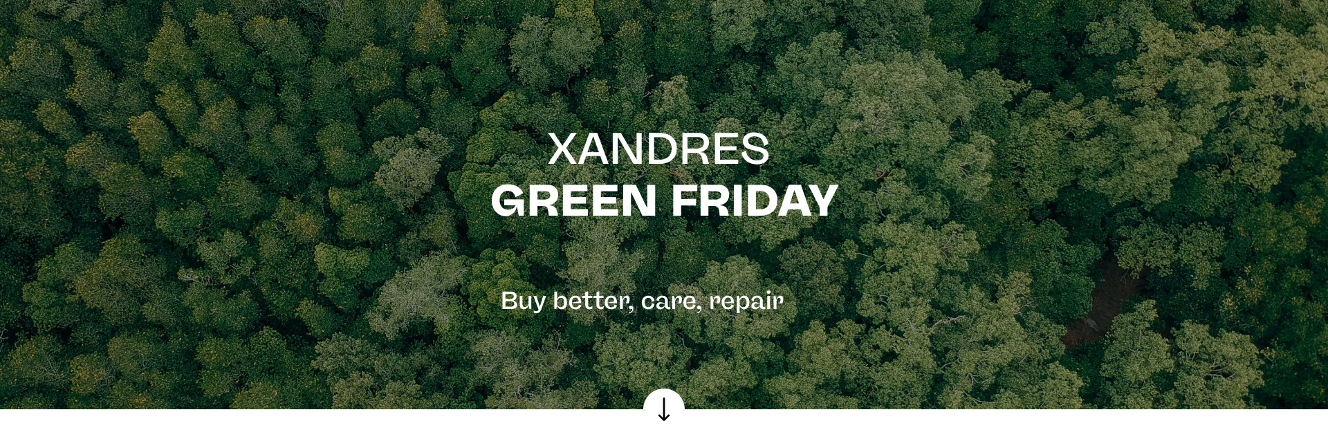 Green Friday Xandres - GoForest