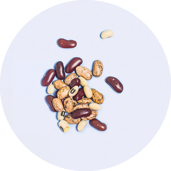 beans, an example of everyday food that has vitamin K2