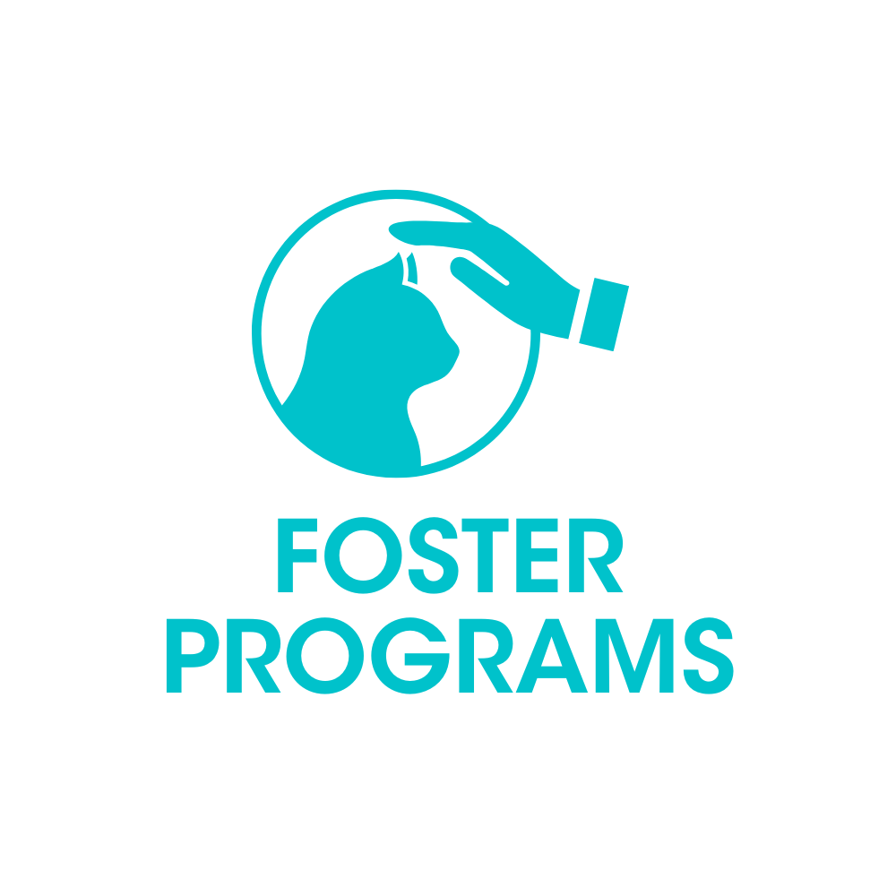 Foster Programs graphic